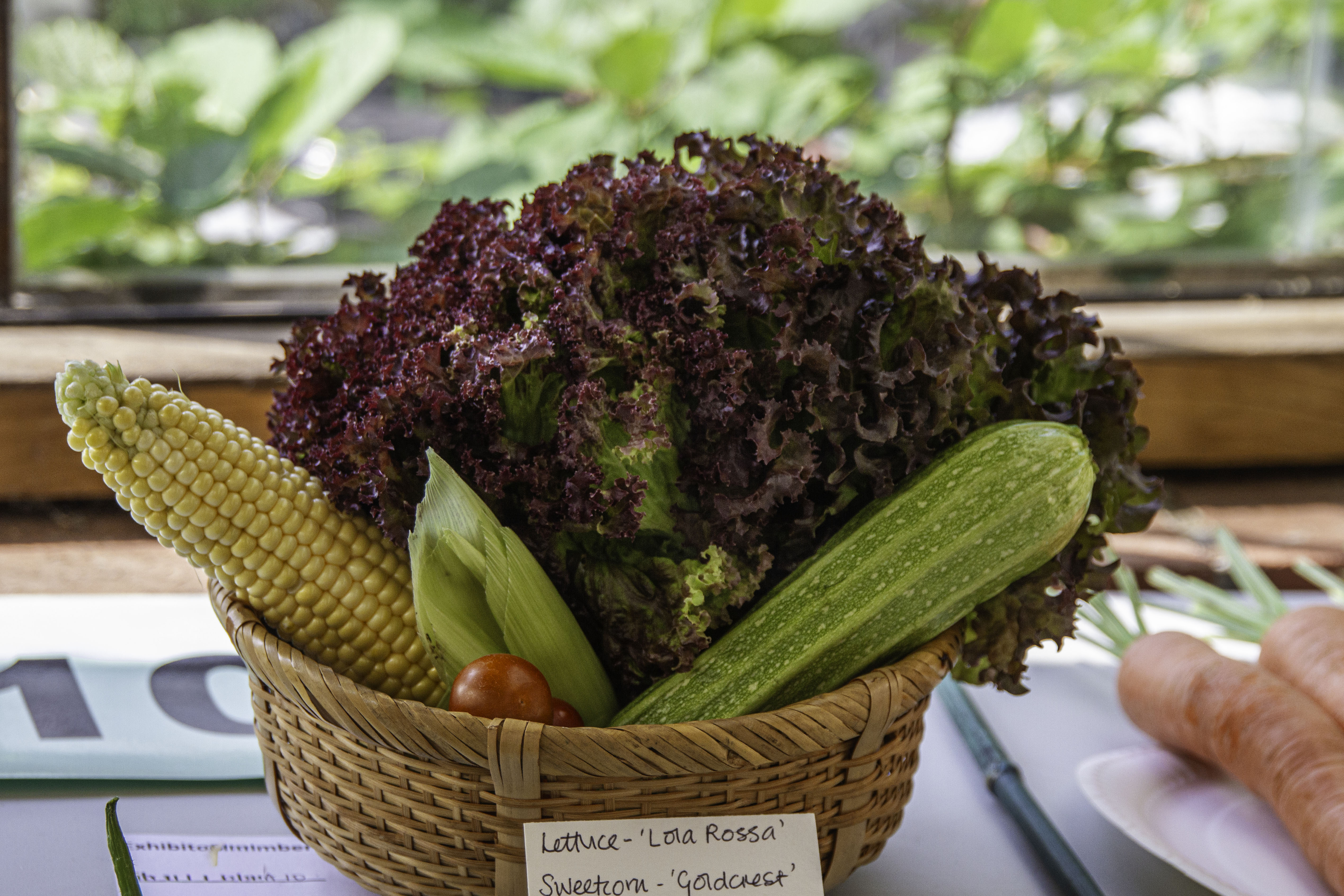 1.HenburyVeg_1