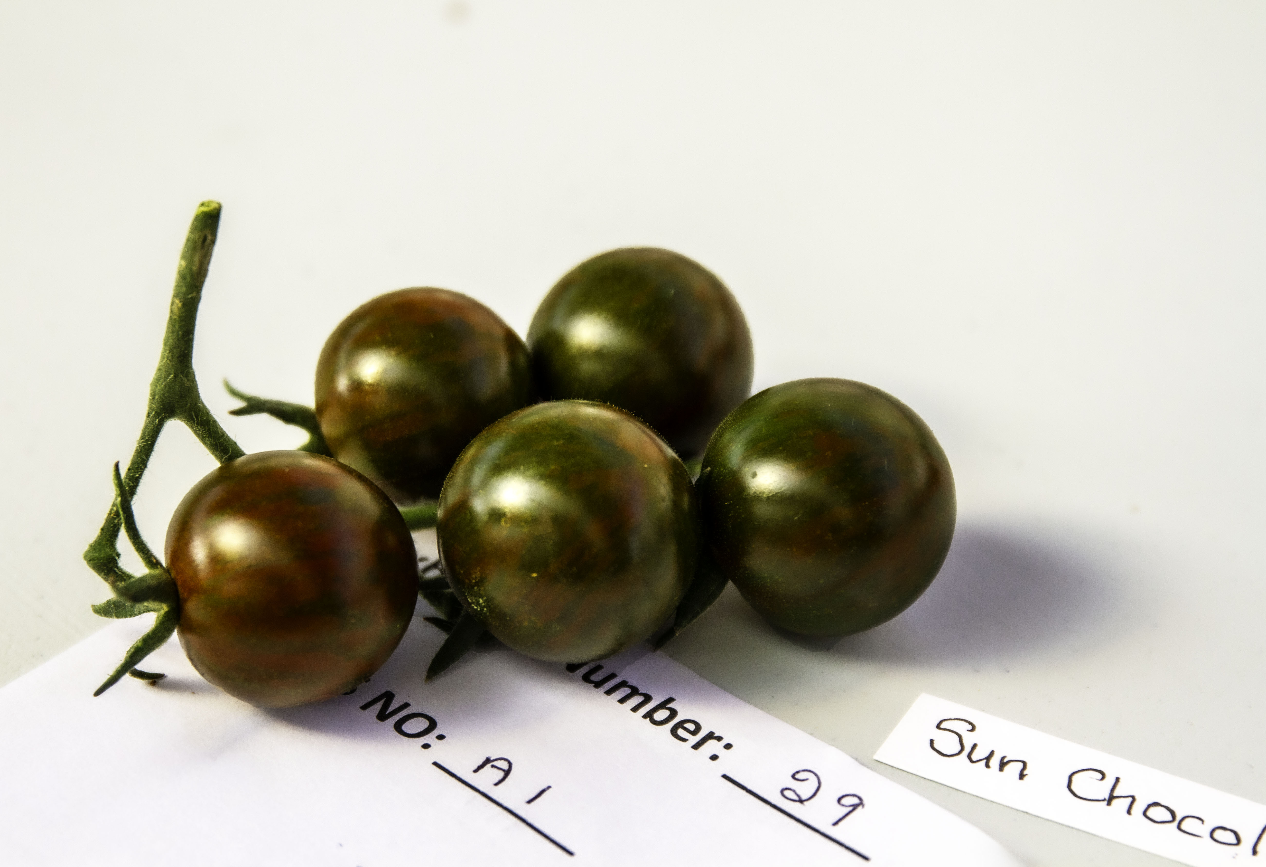 1.HenburyVeg_4