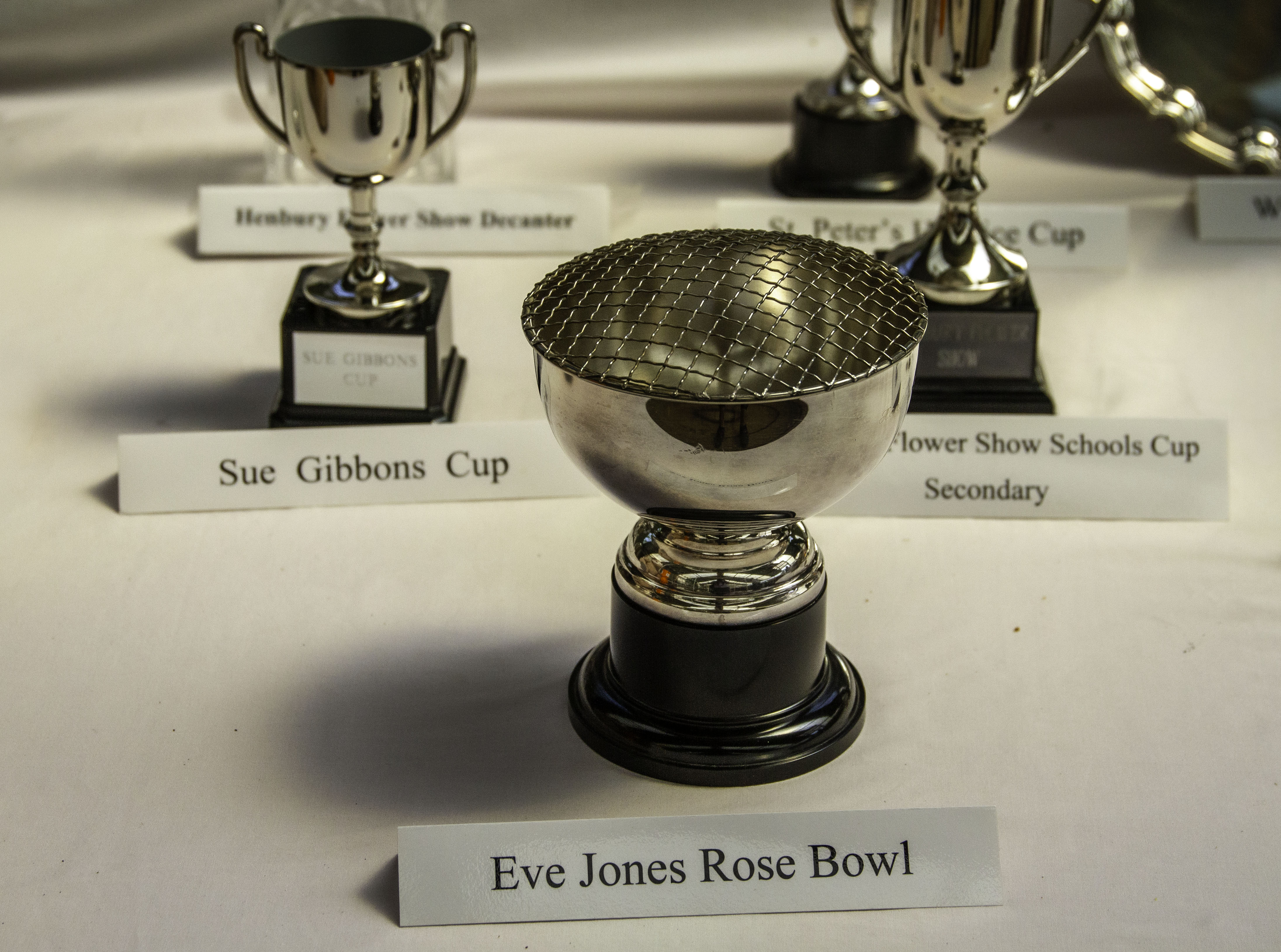 1.Prizesandawards_2