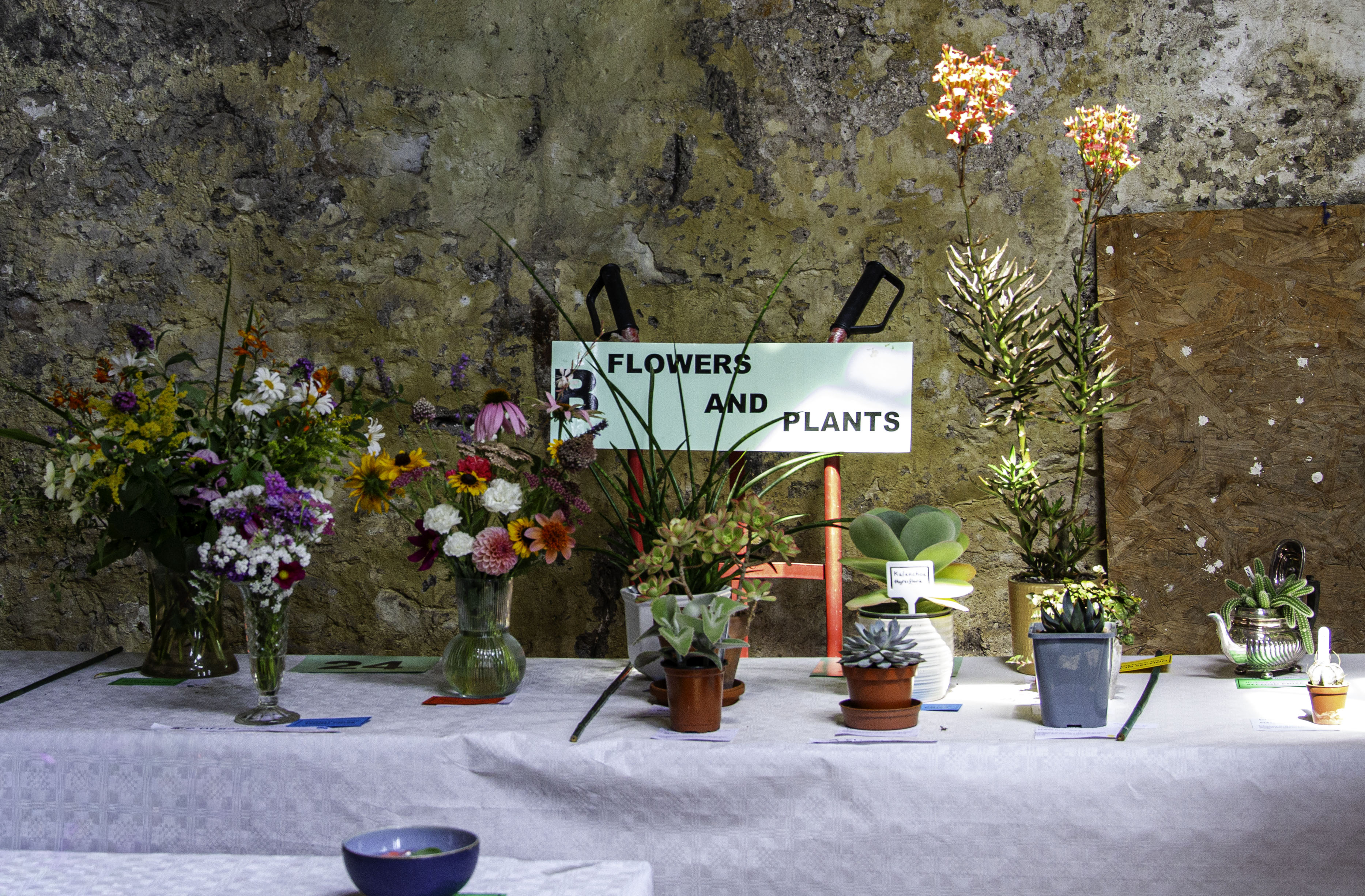 Section B - Flowers  Plants