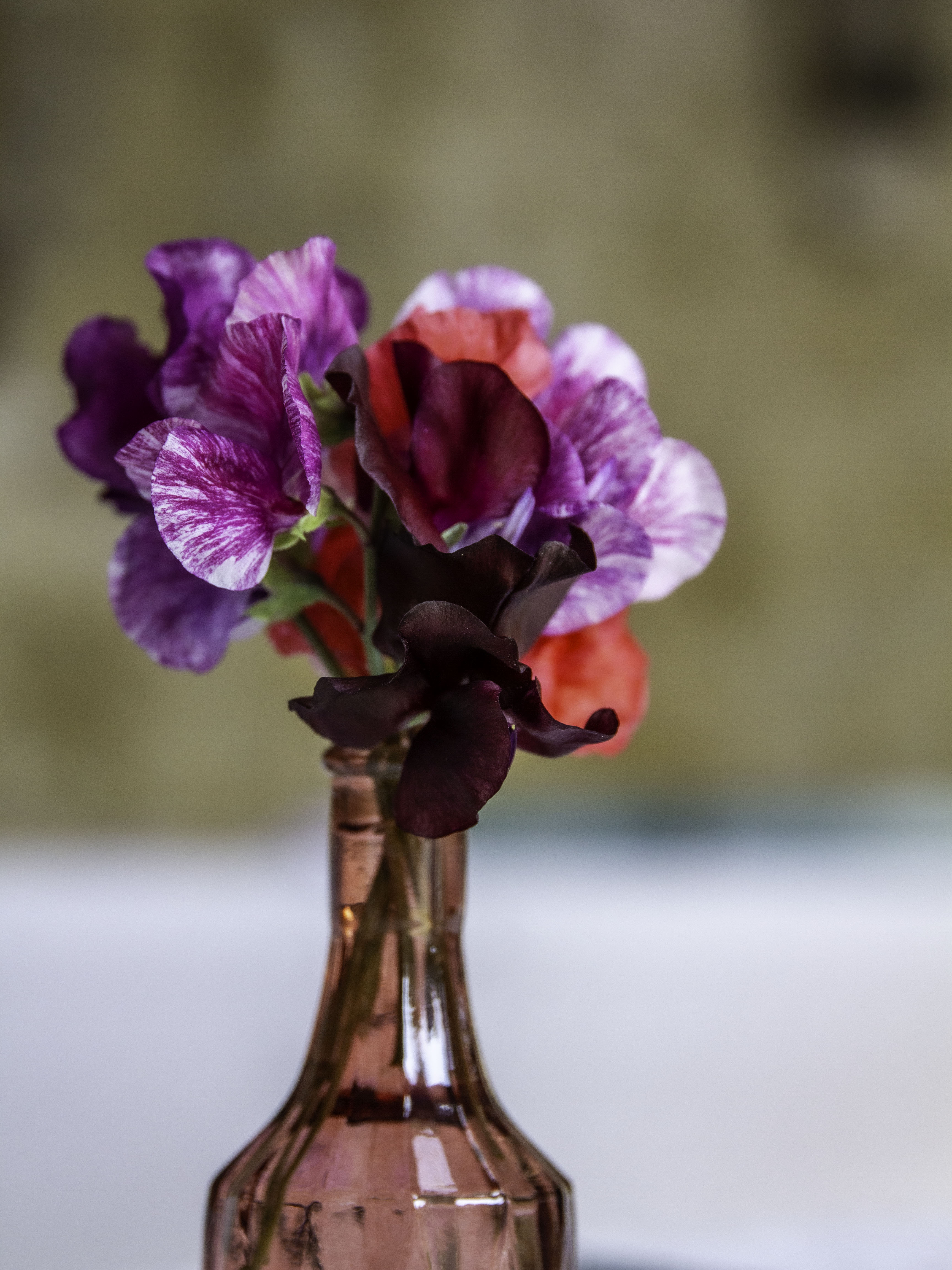 Section B18 - Sweet peas