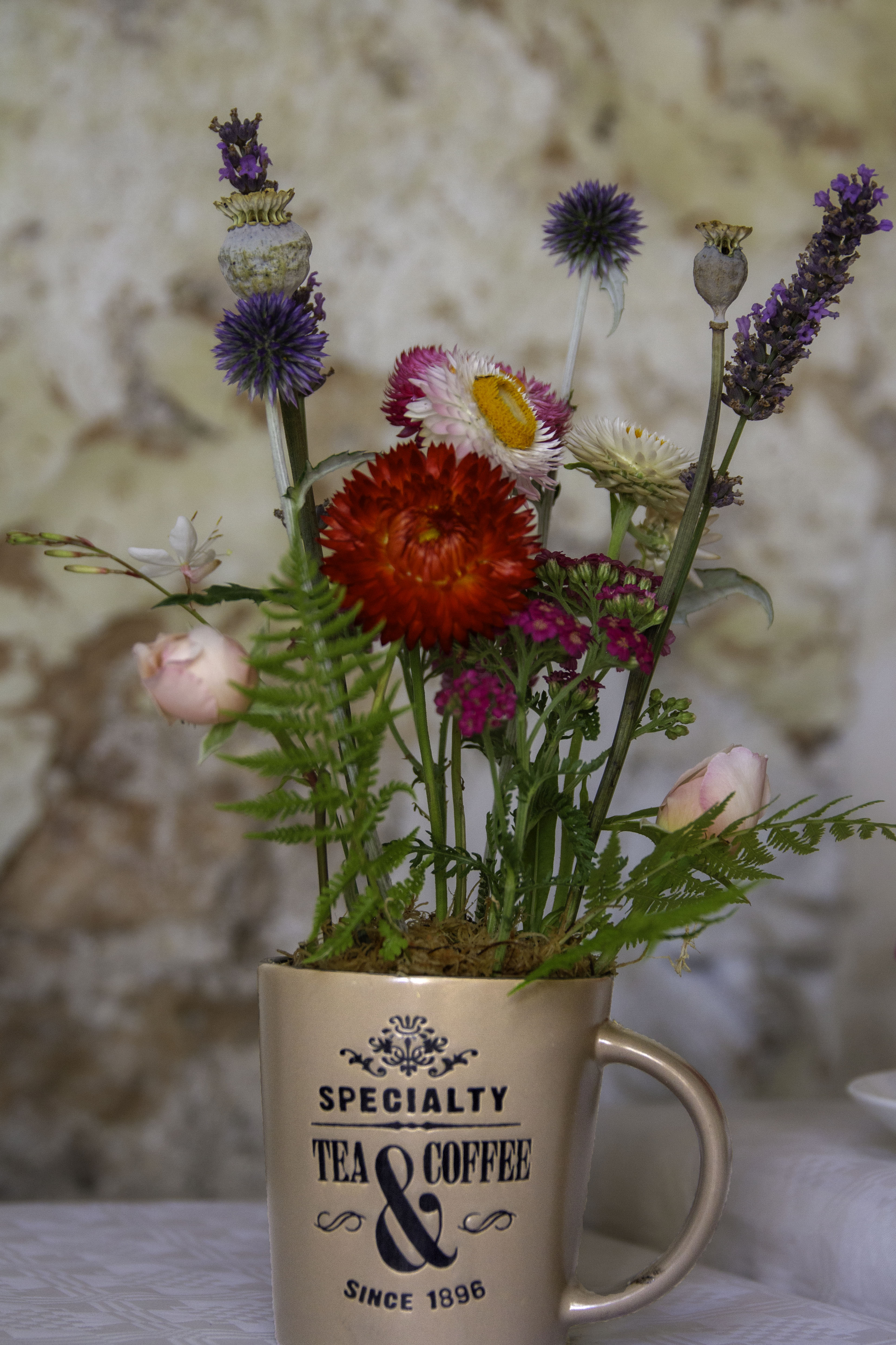 Section B24 - Mixed garden flowers