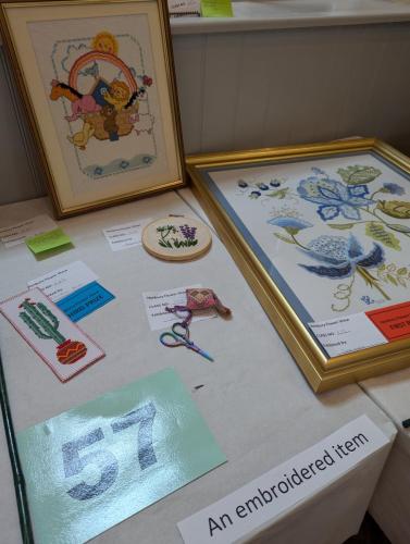 PXL 20240720 110650944