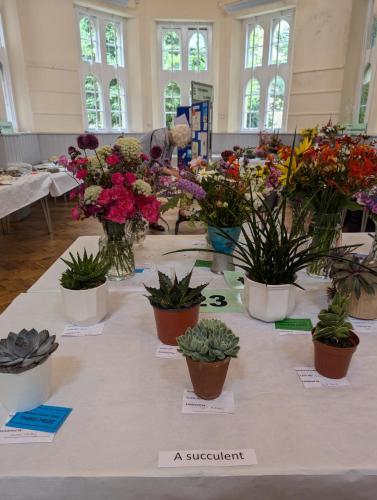 PXL 20240720 110713149