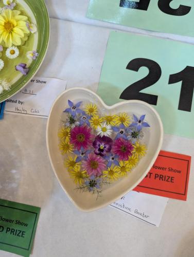 PXL 20240720 110726528