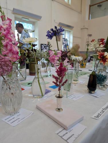 PXL 20240720 110738044