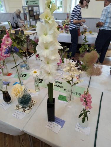 PXL 20240720 110744040