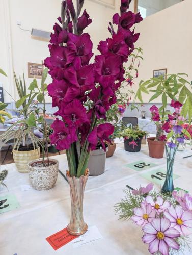 PXL 20240720 110750629