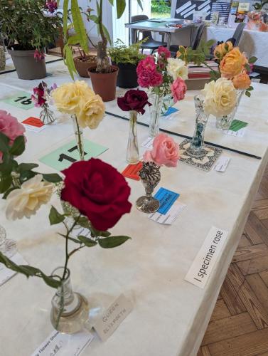 PXL 20240720 110801756