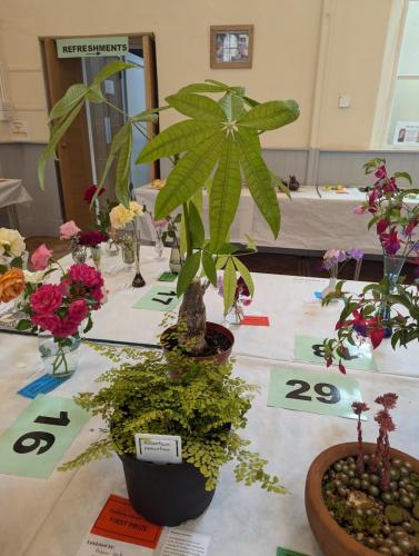 PXL 20240720 110820844