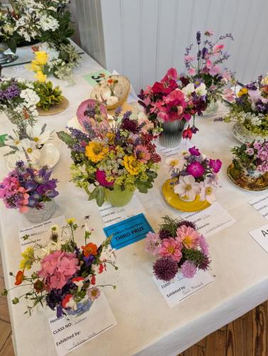 PXL 20240720 110833040