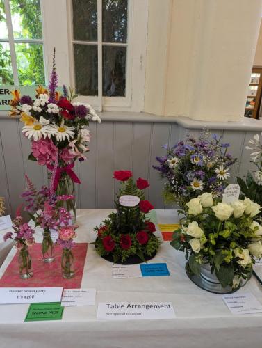 PXL 20240720 110842788