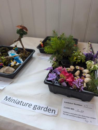 PXL 20240720 110908257