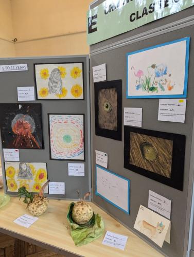 PXL 20240720 110916155