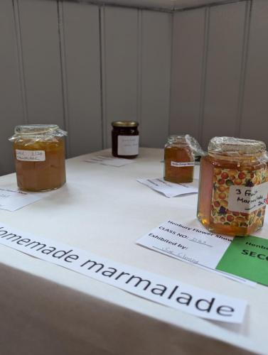 PXL 20240720 110934138