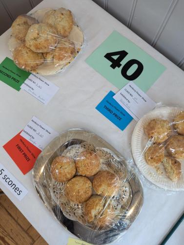 PXL 20240720 110944604