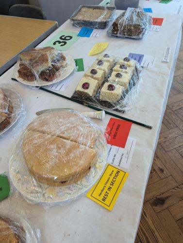 PXL 20240720 110955649