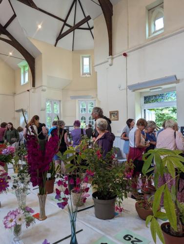 PXL 20240720 120803710