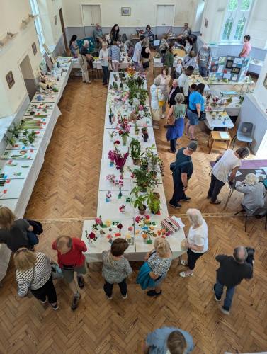 PXL 20240720 121809350