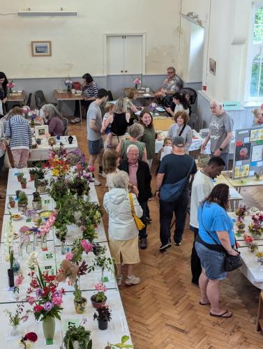 PXL 20240720 121815679