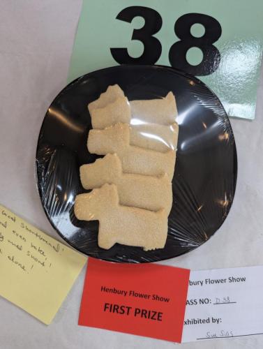 PXL 20240720 130138675