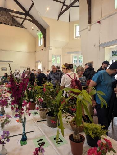 PXL 20240720 132605649