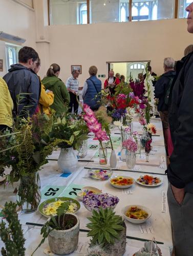 PXL 20240720 150844638